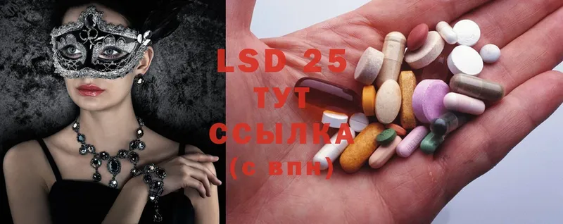 kraken tor  Венёв  Лсд 25 экстази ecstasy 